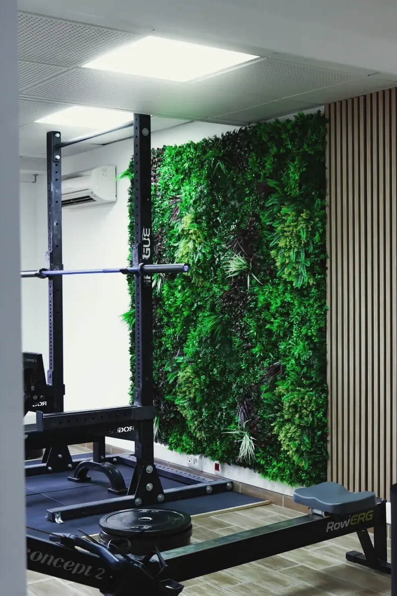 Le studio privé Saint-Charles : rack, rameur et mur végétal